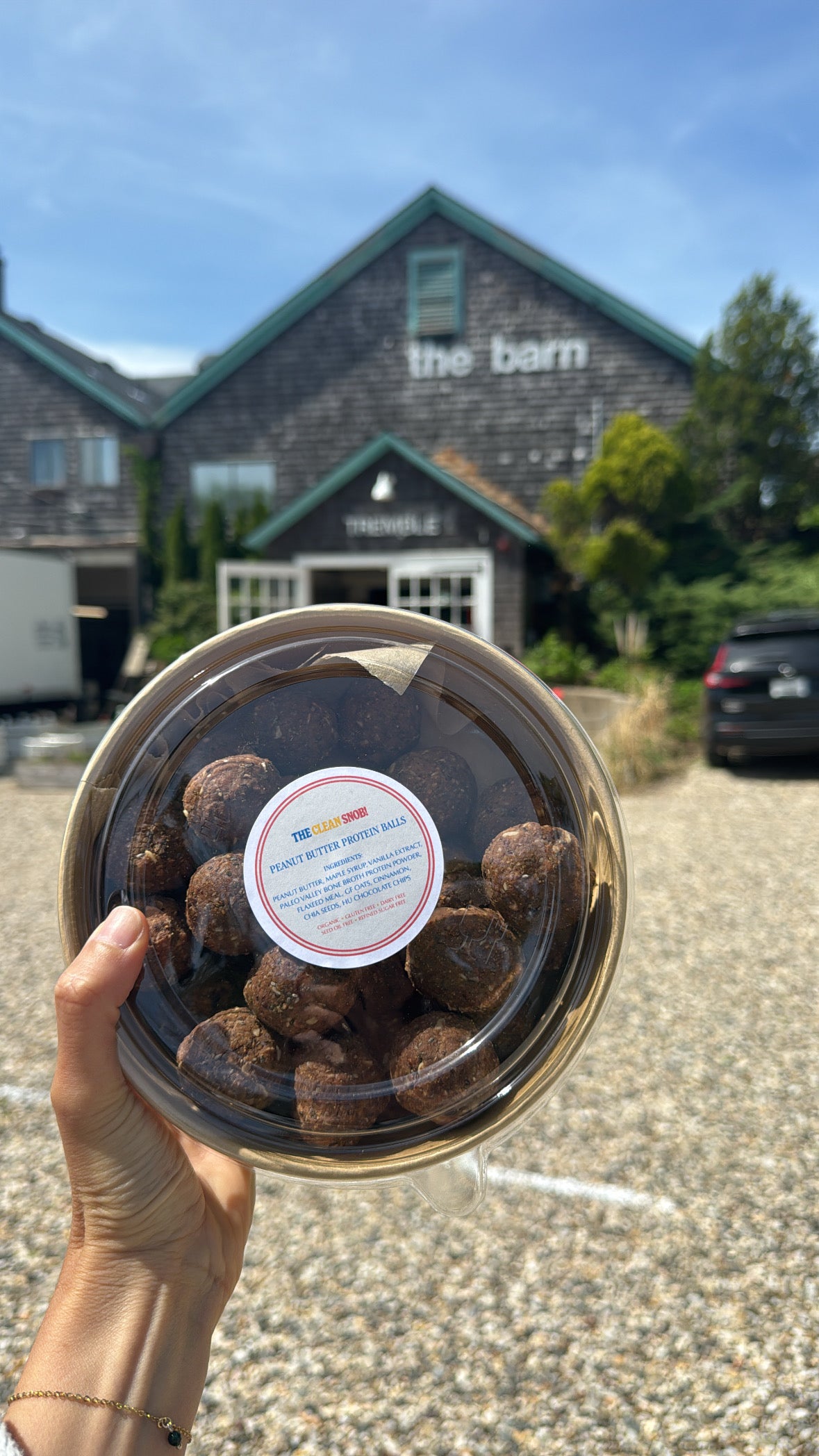 Peanut Butter Protein Balls